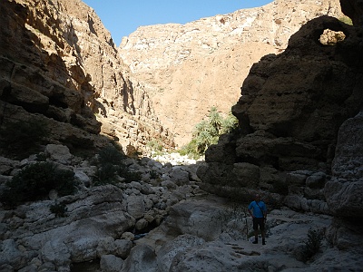 111 Oasis wadi shab